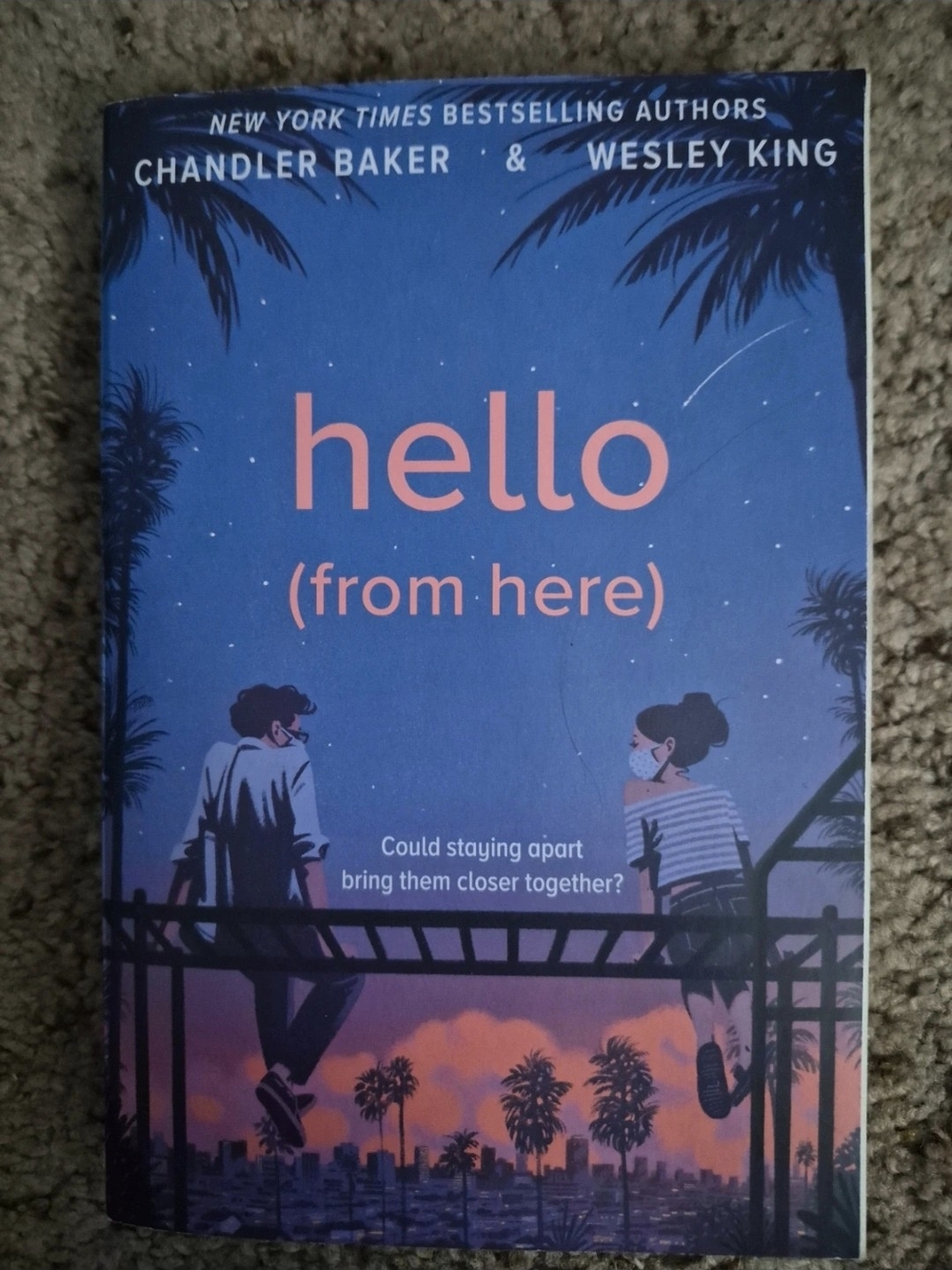 Original Penguin Gradient Blue and Pink Paperback Back Cover